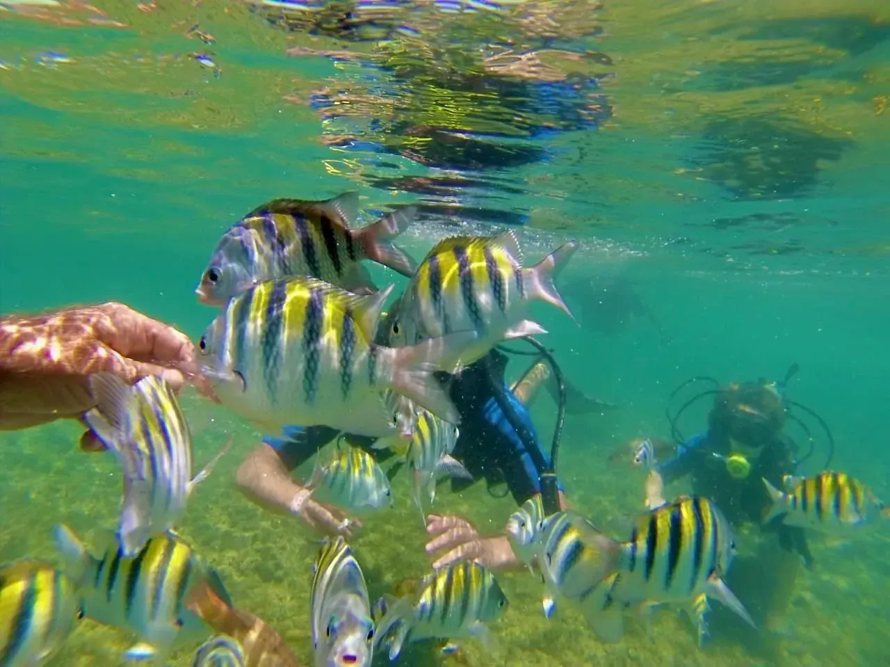 Fotos subaquáticas nas piscinas naturais