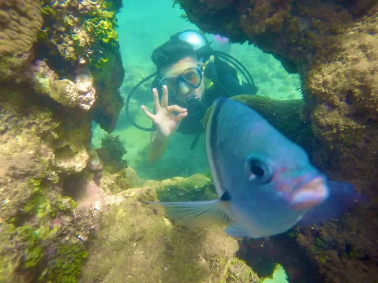 Buceo con fotos en la Isla de Caitá
